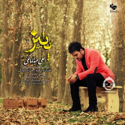 آهنگ پاییز از علی عبدالمالکی