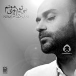 دانلود آهنگ بی تو نمیمونم – حمید حامی