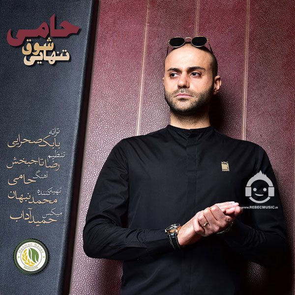 آهنگ شوق تنهایی از حمید حامی