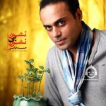 دانلود آهنگ نشون بی نشون – حمید حامی