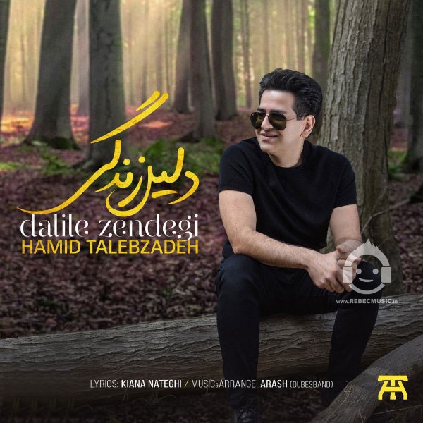 آهنگ دلیل زندگی از حمید طالب زاده