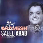 دانلود آهنگ آرامش – سعید عرب