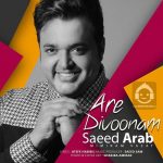 دانلود آهنگ آره دیوونم – سعید عرب