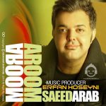 دانلود آهنگ آروم آروم – سعید عرب