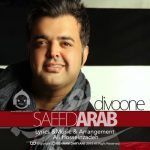 دانلود آهنگ دیوونه – سعید عرب
