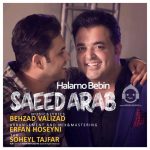 دانلود آهنگ حالمو ببین – سعید عرب دانلود آهنگ حالمو ببین – سعید عرب