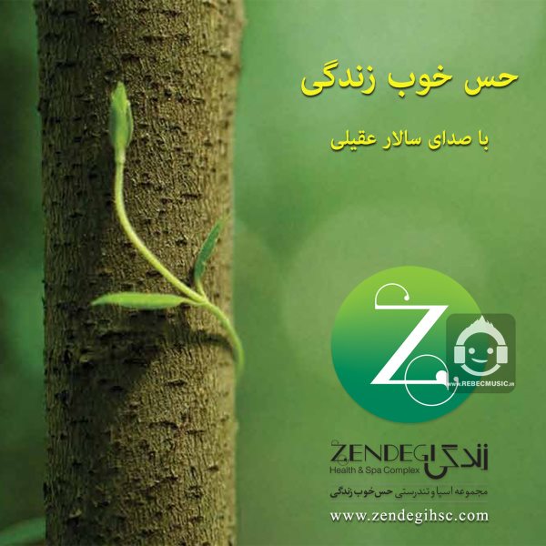آهنگ حس خوب زندگی از سالار عقیلی