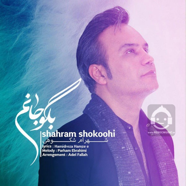 آهنگ بگو جانم از شهرام شکوهی