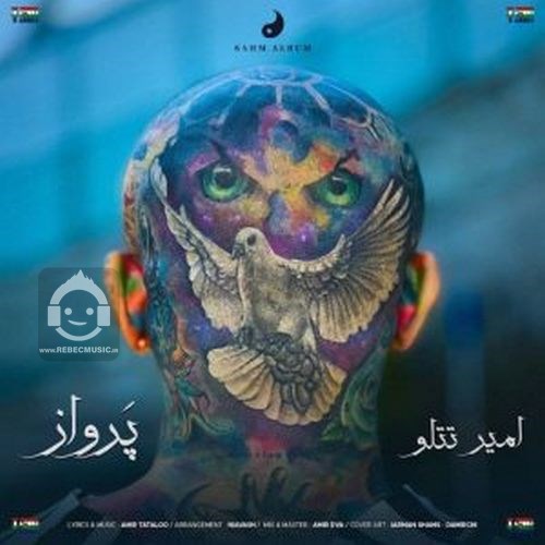 آهنگ پرواز از امیر تتلو