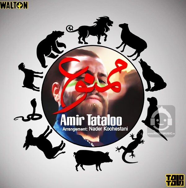 آهنگ ممنوع از امیر تتلو