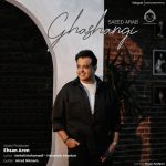 دانلود آهنگ قشنگی – سعید عرب
