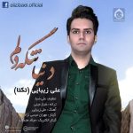 دانلود آهنگ دنیا تنگه دلم – علی زیبایی (تکتا)