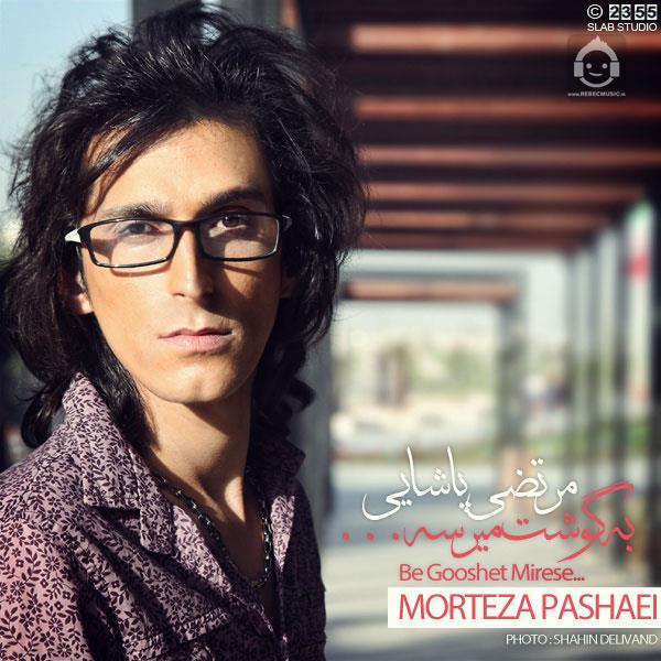 آهنگ به گوشت میرسه از مرتضی پاشایی