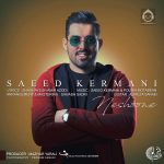 دانلود آهنگ نشونه – سعید کرمانی