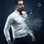 دانلود آهنگ تنهام بذار – سعید کرمانی