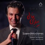 دانلود آهنگ یه بوس خالی – سعید مدرس