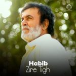 دانلود آهنگ زیر تیغ – حبیب (هوش مصنوعی)