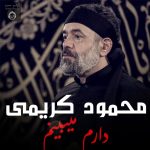دانلود مداحی دارم میبینم – محمودی کریمی