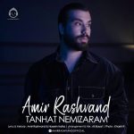 دانلود آهنگ تنهات نمیذارم – امیر رشوند