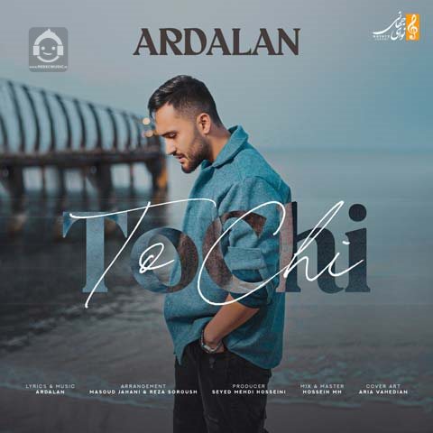 آهنگ تو چی از اردلان