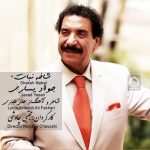 دانلود آهنگ شاخه نبات – جواد یساری
