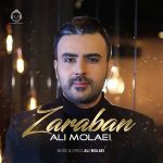 دانلود آهنگ ضربان – علی مولایی
