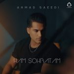 دانلود آهنگ هم صحبتم – احمد سعیدی