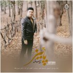 دانلود آهنگ پاییز – پویا بیاتی