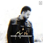 دانلود آهنگ ماه شبام – سهیل مهرزادگان (هوش مصنوعی)