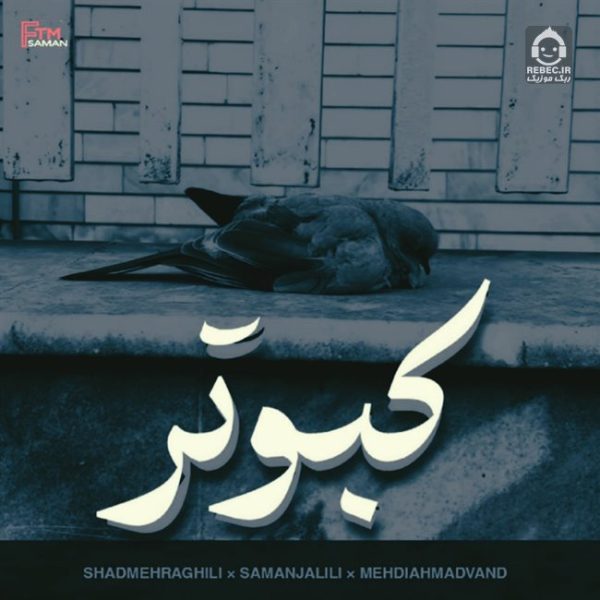 دانلود آهنگ کبوتر – مهدی احمدوند و سامان جلیلی و شادمهر عقیلی (هوش مصنوعی)