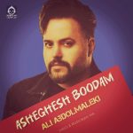 دانلود آهنگ عاشق بودم – علی عبدالمالکی (هوش مصنوعی)