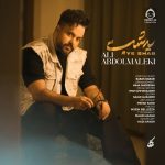 دانلود آهنگ یه شب – علی عبدالمالکی