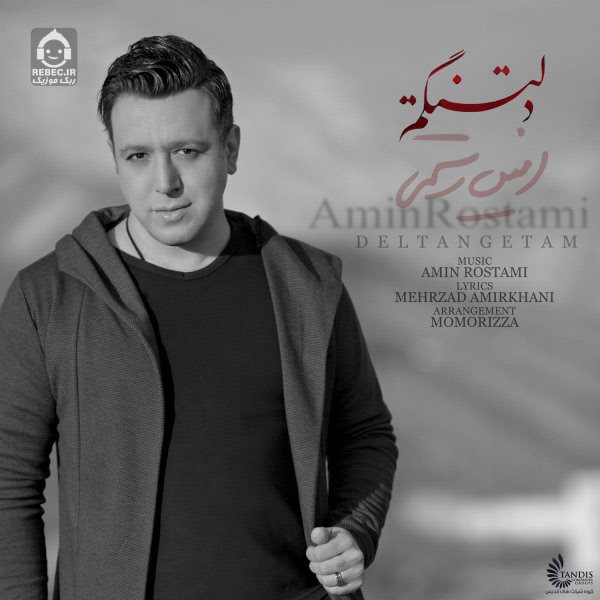 آهنگ دلتنگتم از امین رستمی