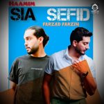 دانلود آهنگ سیاه سفید – فرزاد فرزین و حامیم (هوش مصنوعی)