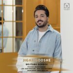 دانلود آهنگ جیگر گوشه – مجتبی دربیدی