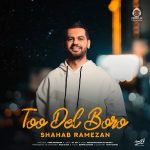 دانلود آهنگ تو دل برو – شهاب رمضان