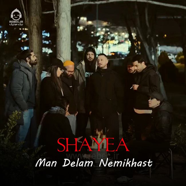 آهنگ من دلم نمیخواست از شایع