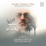دانلود آهنگ پناه تنهایی من – محمد اصفهانی