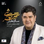 دانلود آهنگ شهر خاموشی – سالار عقیلی