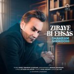 دانلود آهنگ زیبای بی احساس – شهرام شکوهی