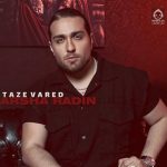 دانلود آهنگ تازه وارد – آرشا رادین