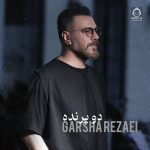 دانلود آهنگ دو پرنده – گرشا رضایی