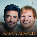 دانلود آهنگ عزیزم احمق (ریمیکس) – محمدرضا گلزار و ا