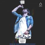 دانلود آهنگ عاشق شدم رفت (ریمیکس) – حامد همایون