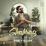 دانلود آهنگ شاهرگ – میثام