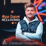 دانلود آهنگ یکیو دارم – رضا مریدی
