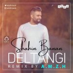 دانلود آهنگ دلتنگی (ریمیکس) – شاهین بنان