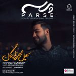 دانلود آهنگ پرسه – سهیل مهرزادگان