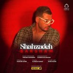دانلود آهنگ شهزاده – برشام