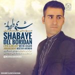 دانلود آهنگ شبای دل بریدن – مهدی عسگری